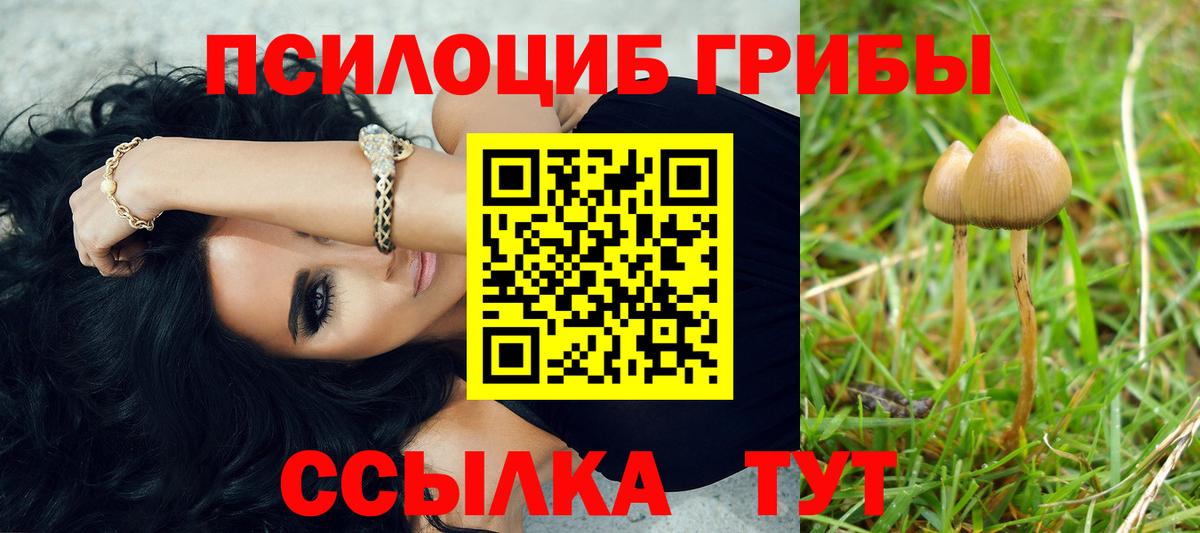 Псилоцибиновые грибы Magic Shrooms Воткинск